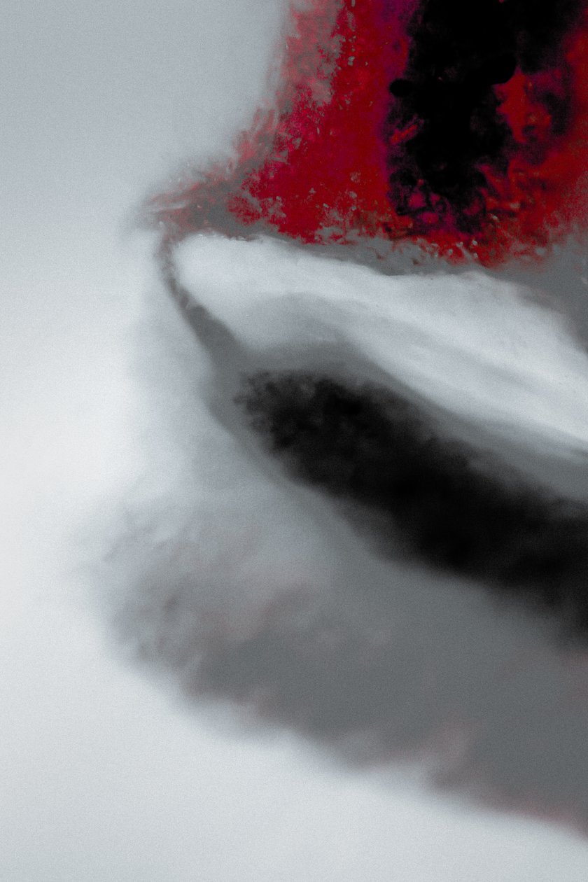 Misja, z serii Misjonarz, 2019 (zdjęcie) autorstwa Alice Gur-Arie