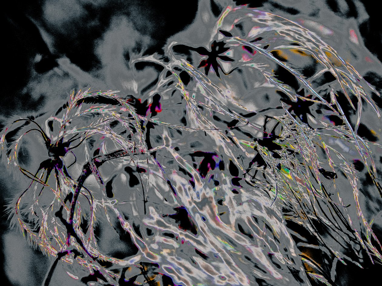 Countryfile, 2015 (zdjęcie) autorstwa Alice Gur Arie