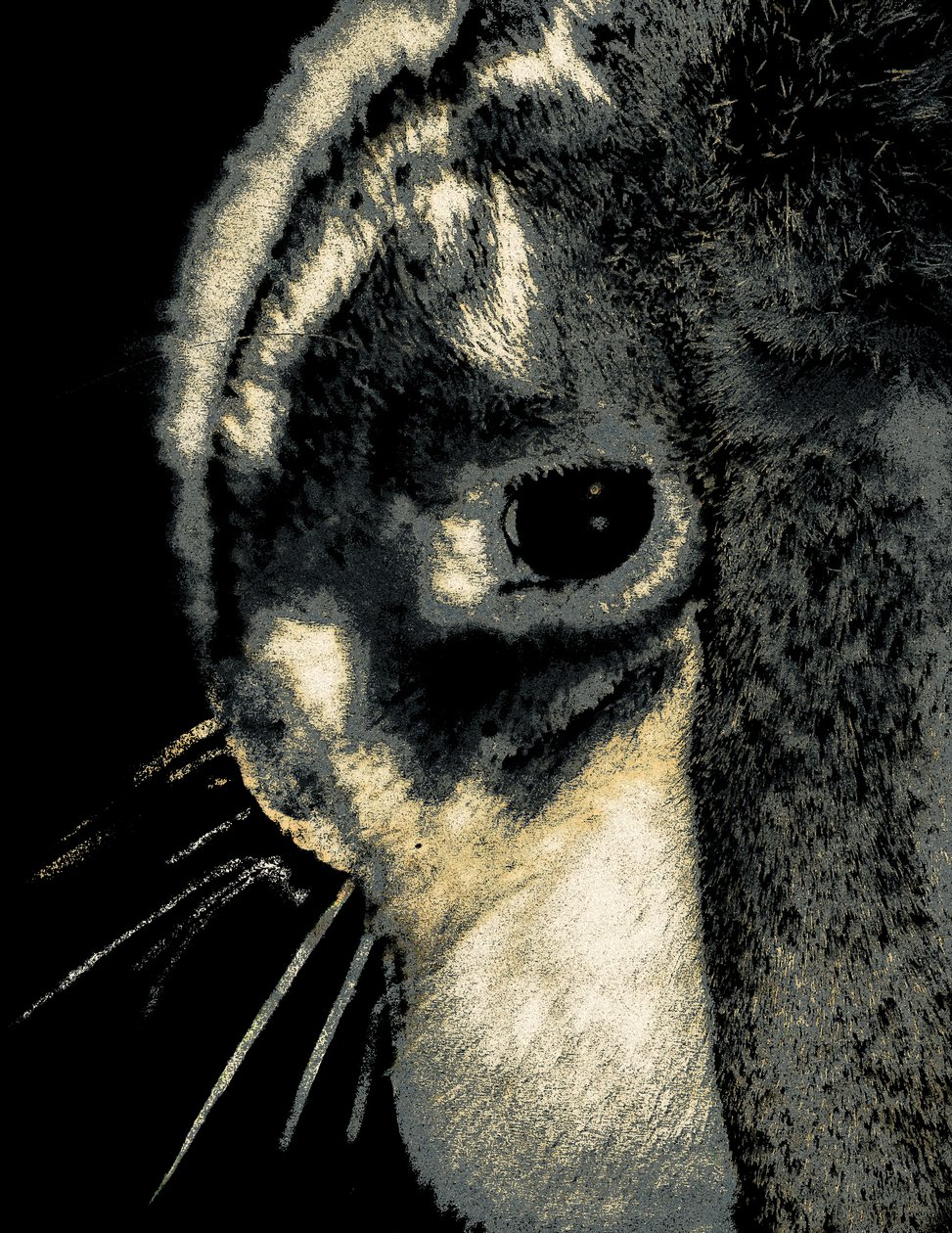 Portret królika, 2022 (przemalowane zdjęcie) autorstwa Alice Gur-Arie