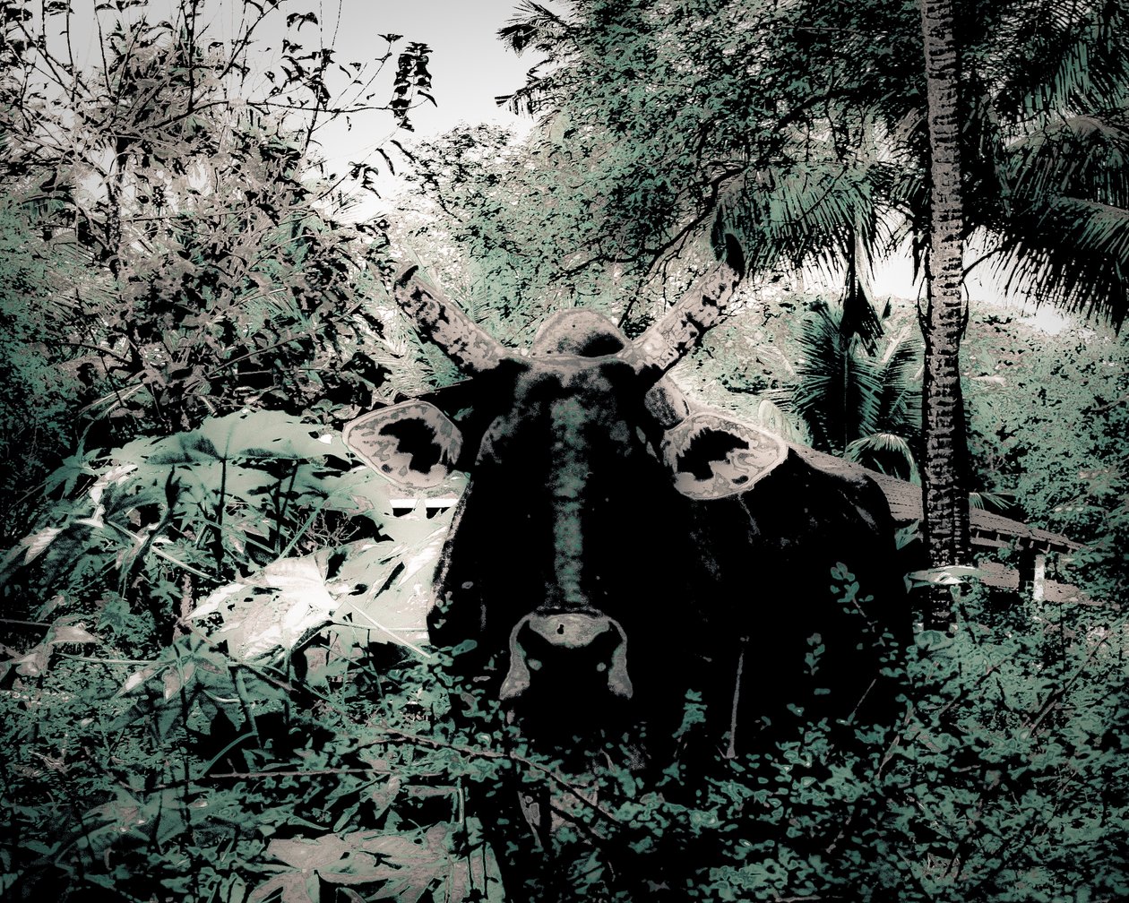 The Lodge Near Periyar, 2020 (zdjęcie malowane) autorstwa Alice Gur-Arie