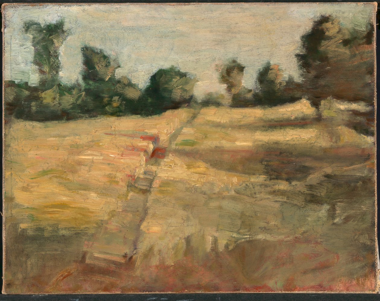 Pole, ca. 1892. autorstwa Alice Pike Barney