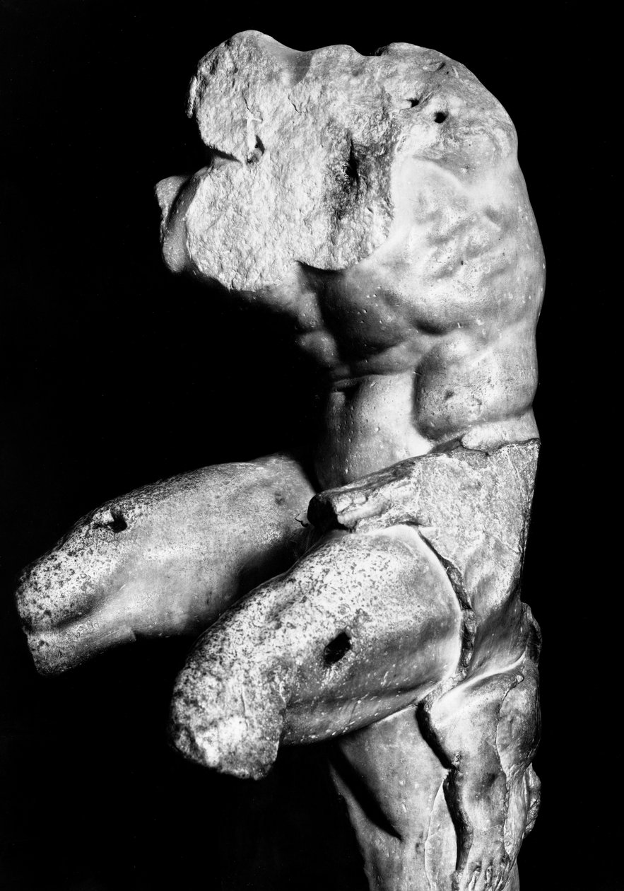 Belvedere Torso autorstwa Apolloniosa z Nestora, ok. 1890 (zdjęcie czarno-białe) autorstwa Fratelli Alinari