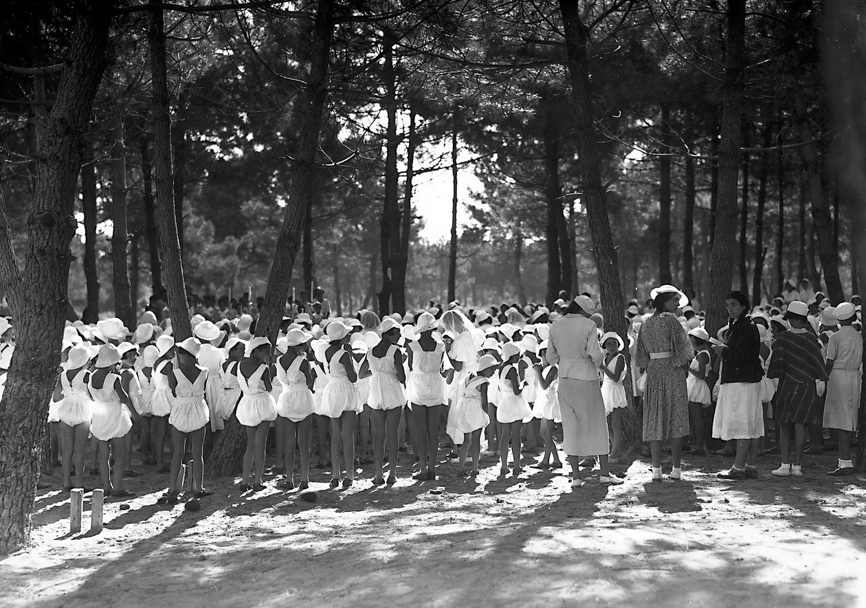 Villa Rosa Maltoni Mussolini: studentki zebrane w sosnowym zagajniku (zdjęcie czarno-białe) autorstwa Fratelli Alinari