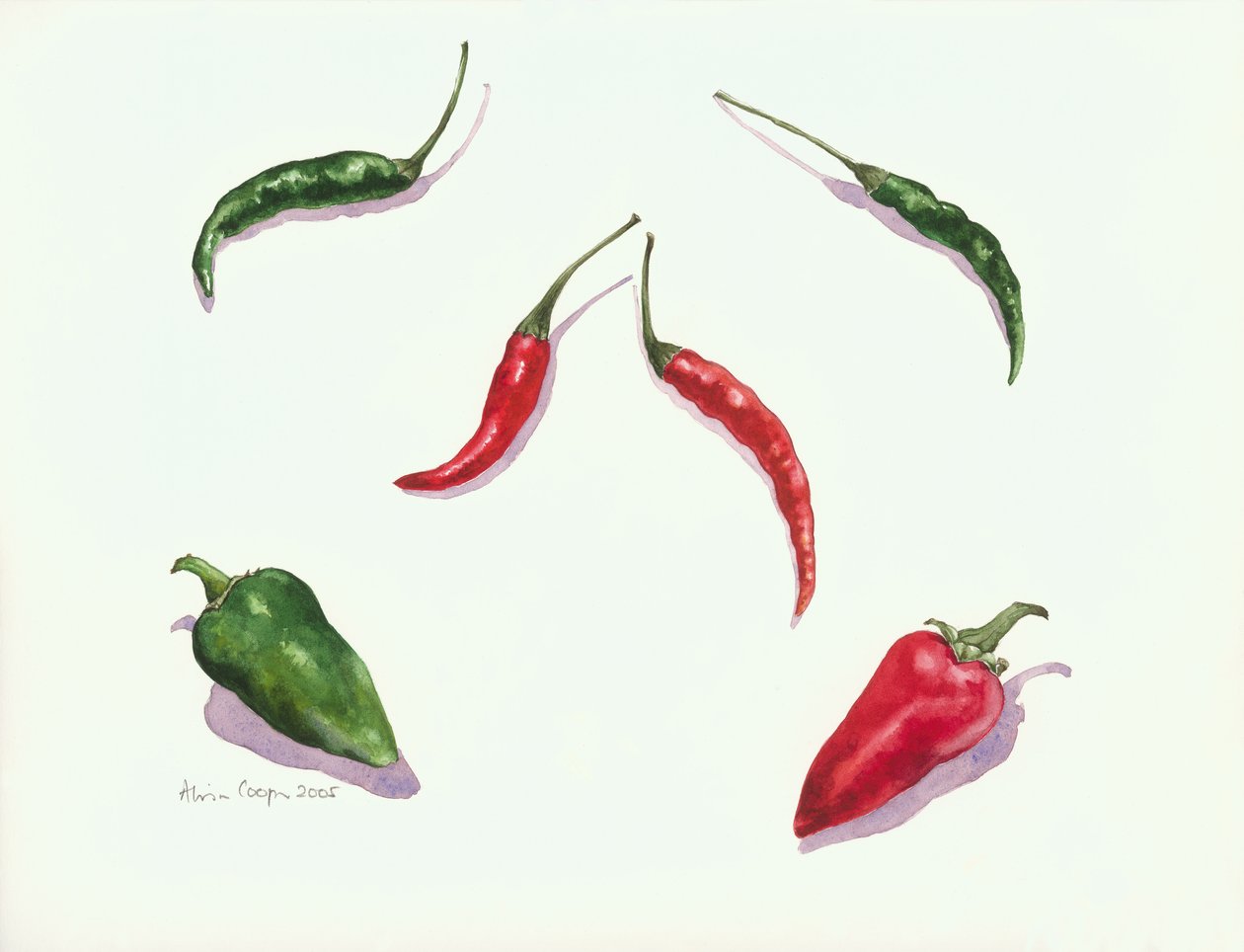 Chili i Papryki, 2005 autorstwa Alison Cooper