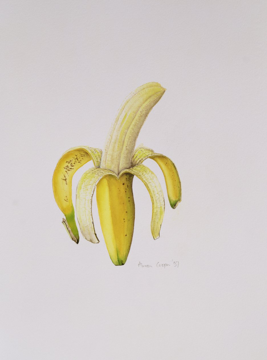 Banan w połowie obrany, 1997 autorstwa Alison Cooper