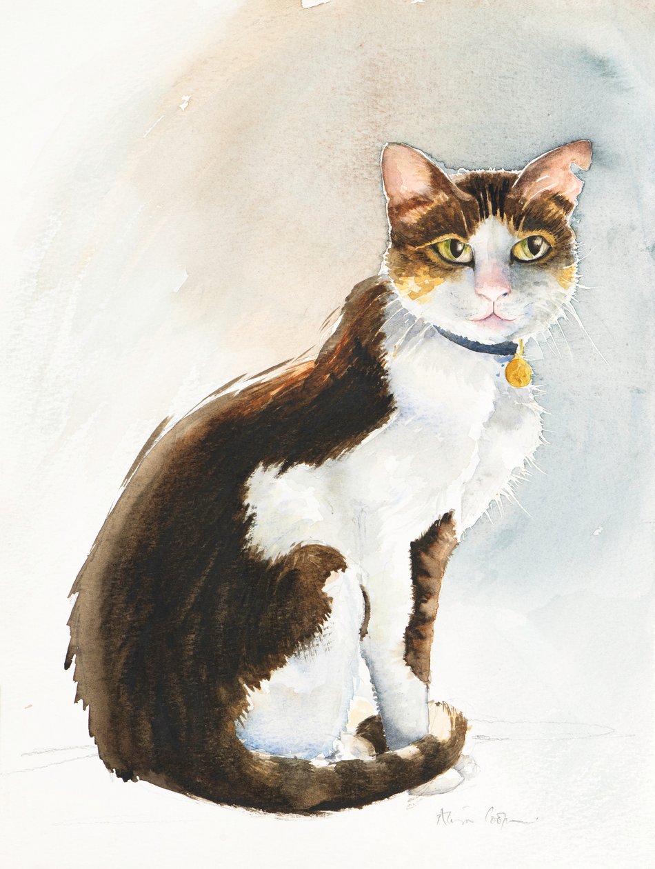 Dave, kot saudyjski, 2019 (akwarela) autorstwa Alison Cooper