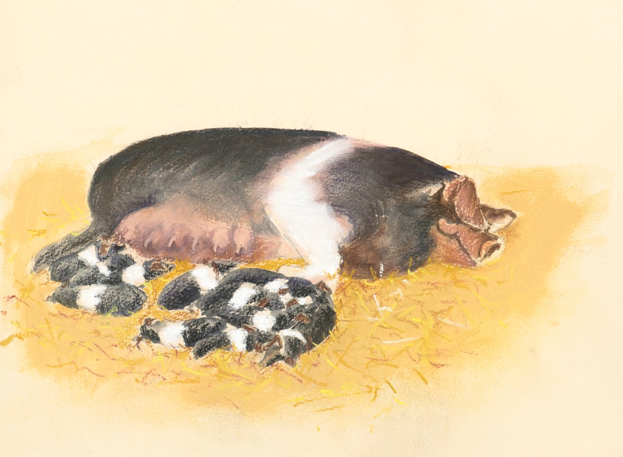 Locha siodło i prosięta, 2019 (pastel) autorstwa Alison Cooper
