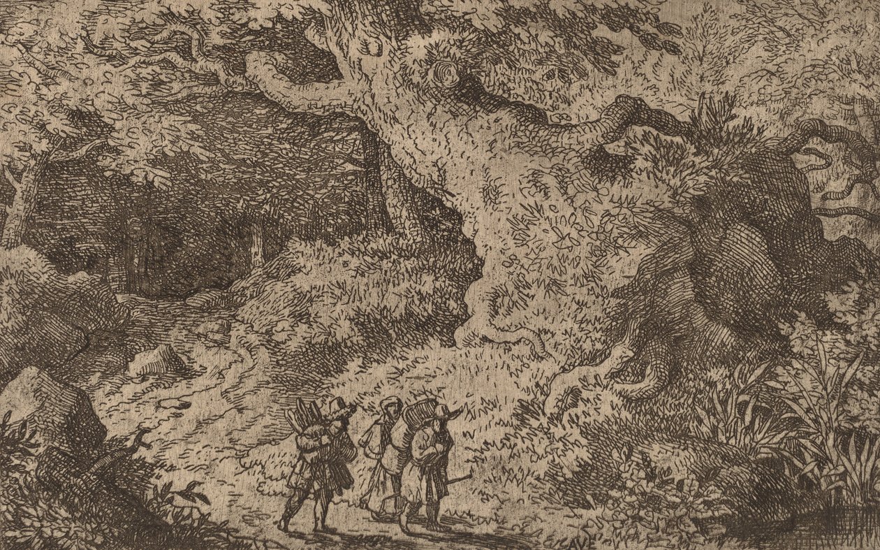 Gęsty Las, prawdopodobnie ok. 16451656. autorstwa Allart van Everdingen