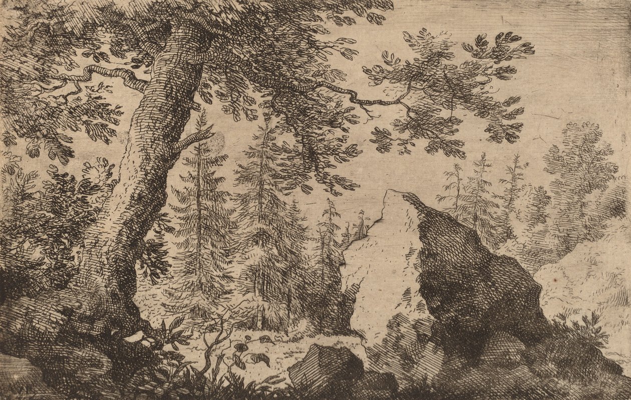 Głaz w lesie, prawdopodobnie ok. 16451656. autorstwa Allart van Everdingen