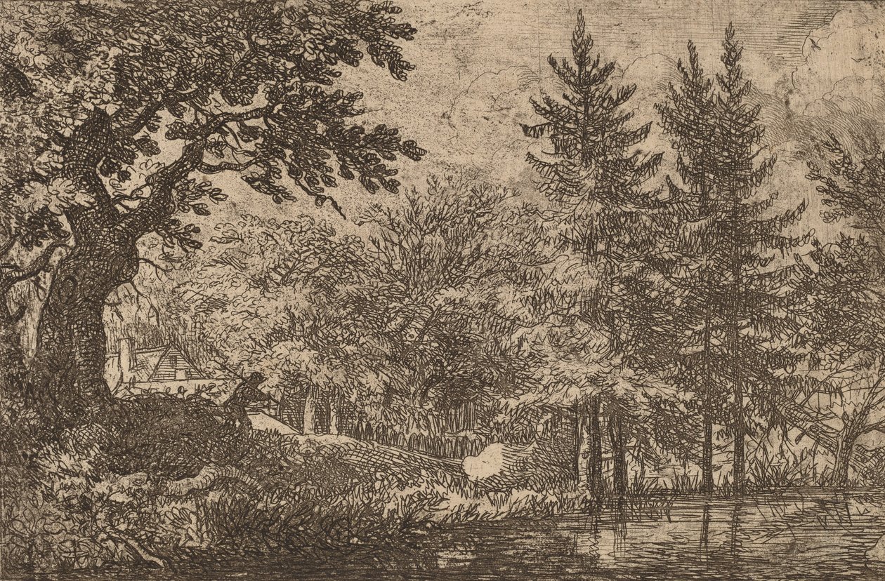 Jodła nad Wodą, prawdopodobnie ok. 16451656. autorstwa Allart van Everdingen