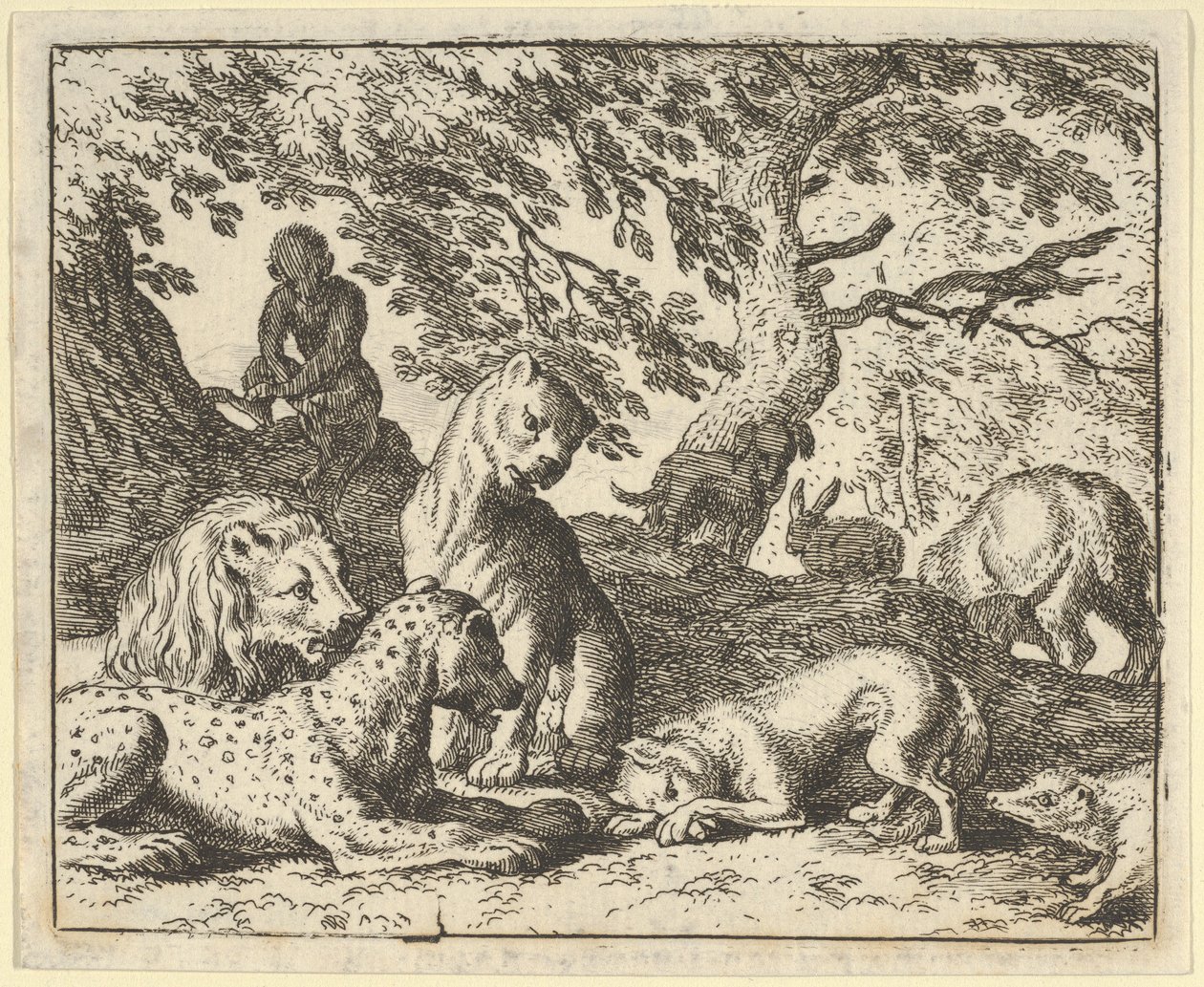 Renard fałszywie oskarża swojego ojca o spisek przeciwko lwowi, 1650-75. autorstwa Allart van Everdingen