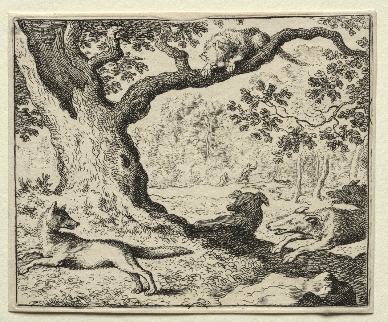 Reynard the Fox: Nielojalny kot. autorstwa Allart van Everdingen