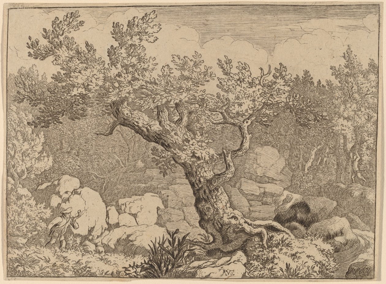 Sportowiec przy Wielkim Drzewie, prawdopodobnie ok. 16451656. autorstwa Allart van Everdingen