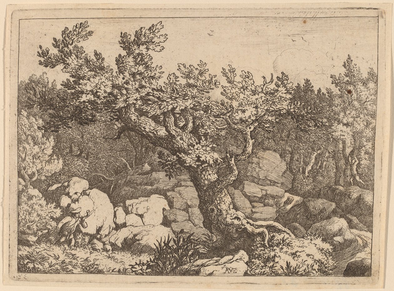 Sportowiec przy Wielkim Drzewie, prawdopodobnie ok. 16451656. autorstwa Allart van Everdingen