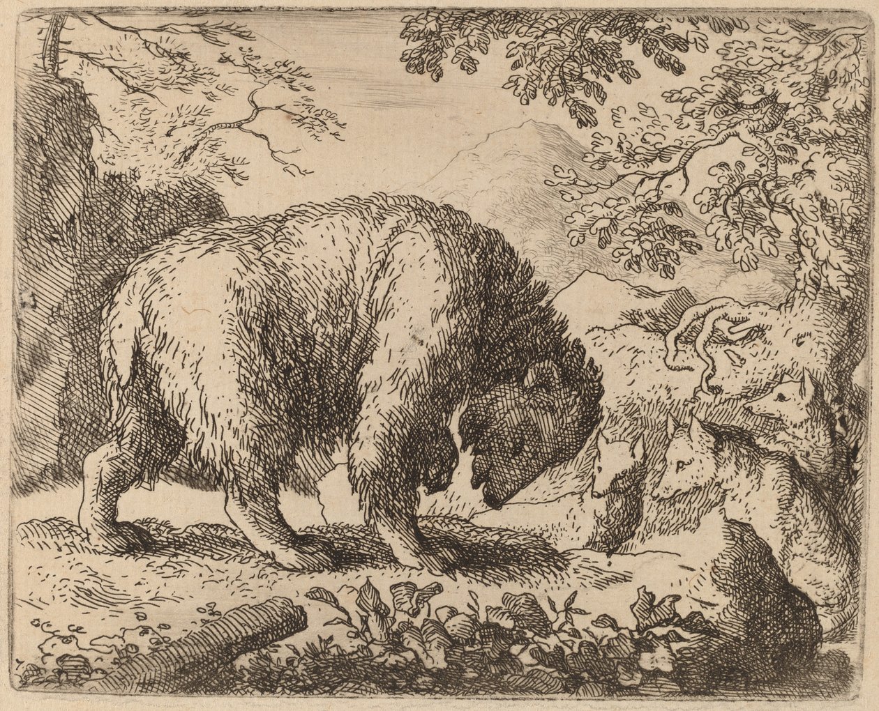 Niedźwiedź rozkojarzony rozmową o miodzie, prawdopodobnie ok. 16451656. autorstwa Allart van Everdingen