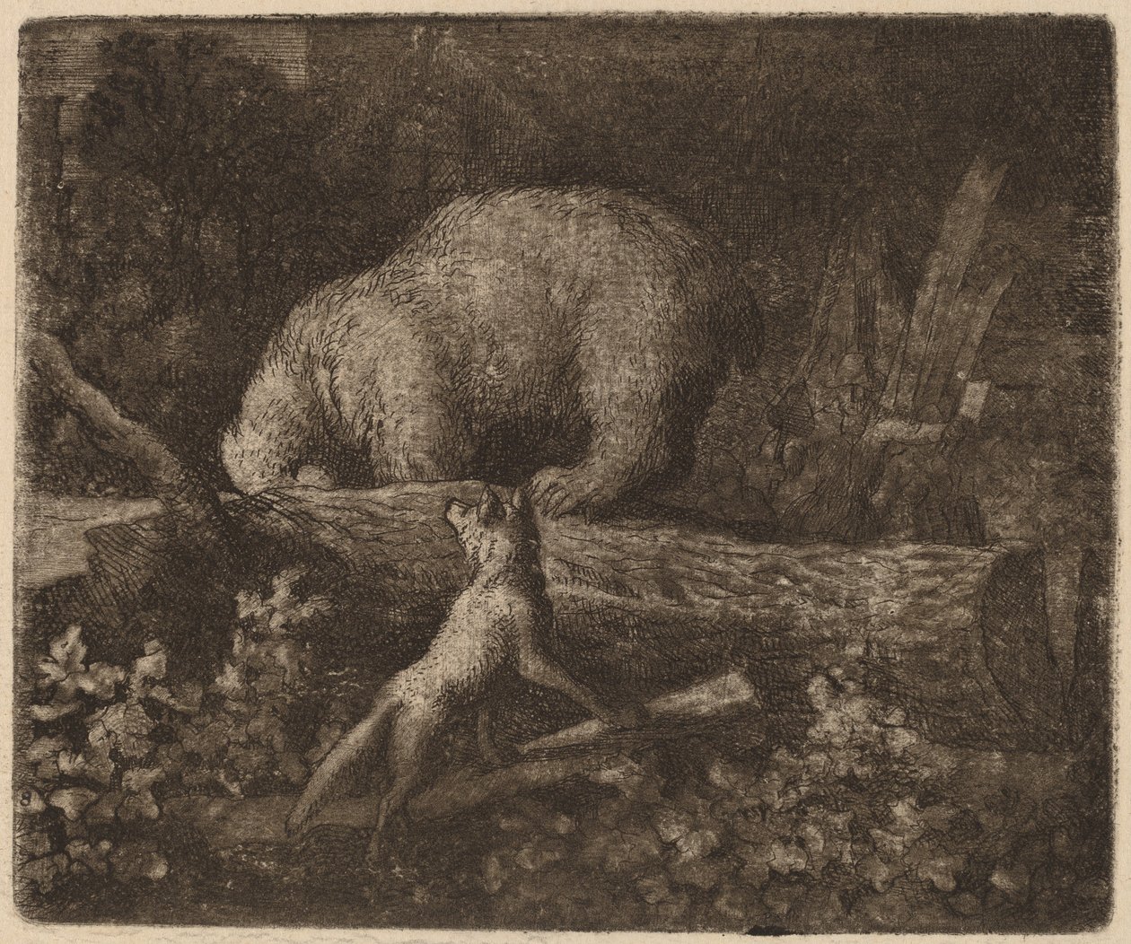 Uwięziony niedźwiedź, prawdopodobnie ok. 16451656. autorstwa Allart van Everdingen
