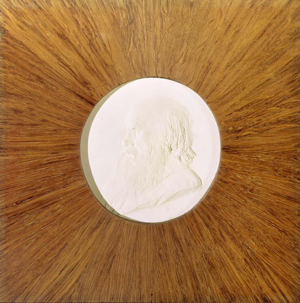 Karol Darwin (1809-82) c.1881 (gipsowa płaskorzeźba) autorstwa Alphonse Legros