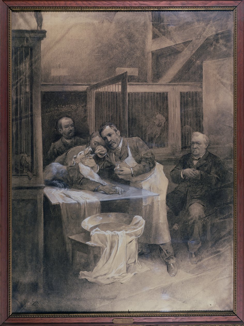 Louis Pasteur (1822-95) pobiera próbkę pianki od wściekłego psa (węgiel drzewny) autorstwa Alphonse Mucha