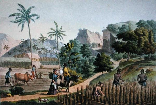 Wyspa Guam: prace rolnicze, z „Voyage Autour du Monde sur les Corvettes de L