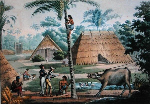 Widok na okolice Coupang, Timor, z "Voyage Autour du Monde sur les Corvettes de L