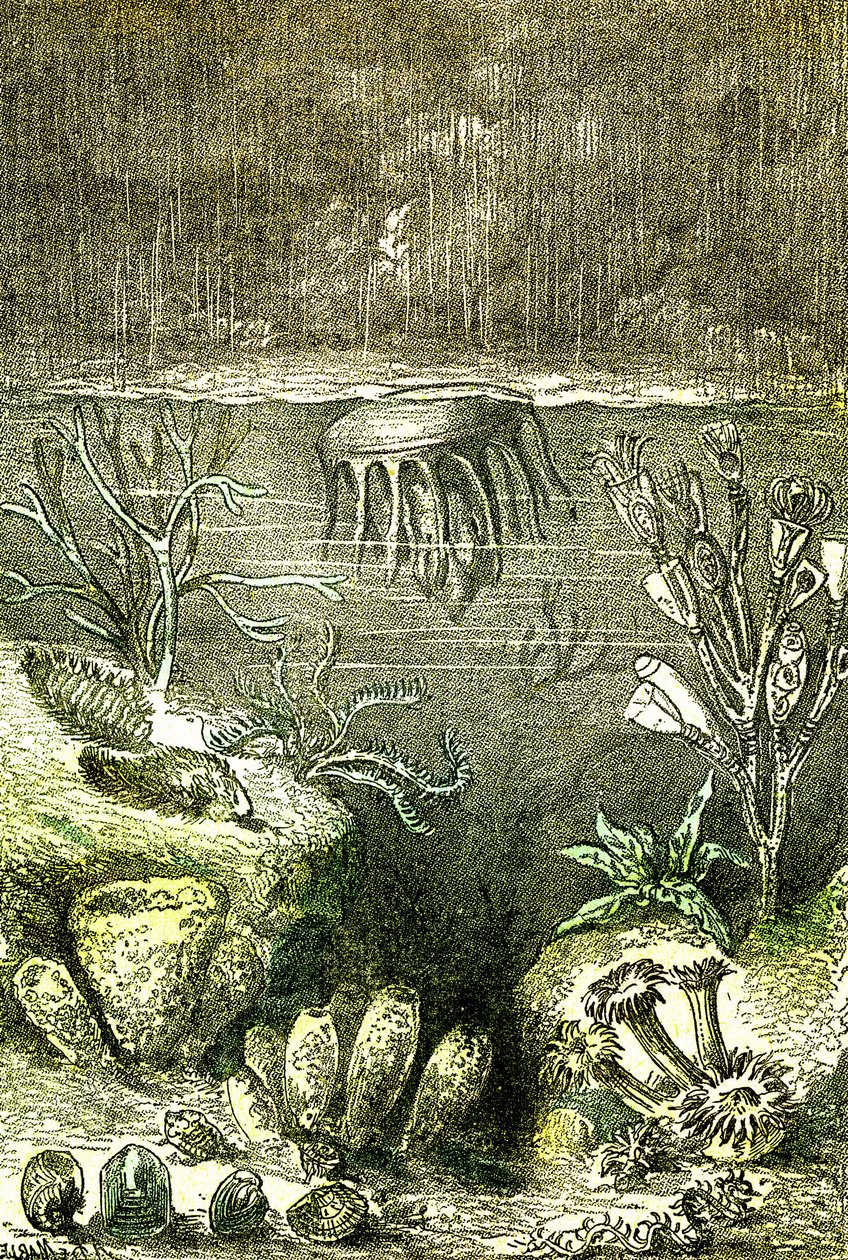 Prehistoire-Terre et Mers: Początek okresu sylurskiego (J. Rengade. Rysunek Demarle. 1885 autorstwa Alphonse Demarle