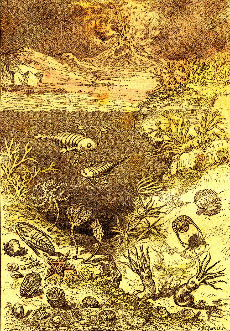 Prehistoria – koniec okresu syluru: Stworzenie naturalne i istoty żywe (J. Rengade) Rysunek A. Demarle. 1885 autorstwa Alphonse Demarle