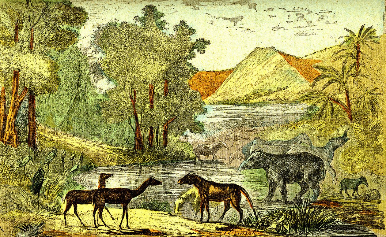 Prehistoria - okres eocenu: Od prawej do lewej: Paloeotherium, Anoplotherium, Xiphodonts i ptaki Tantalus. Stworzenie naturalne i istoty żywe. Rysunek A. Demarle. 1885 autorstwa Alphonse Demarle