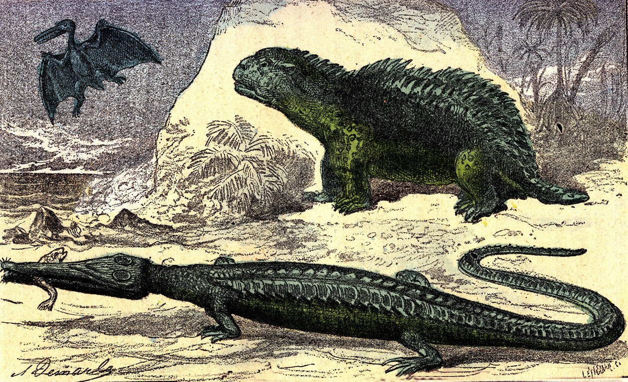 Prehistoria - okres jurajski: teleozaur i hyleozaur. Pterodaktyl na górze. Stworzenie naturalne i istoty żywe. Rysunek A. Demarle