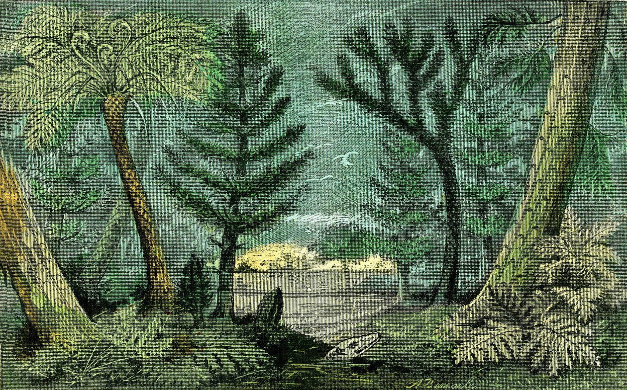 Prehistoria, okres węgla: Marecage i wiertło okresu węgla (J. Rrengade) autorstwa Alphonse Demarle