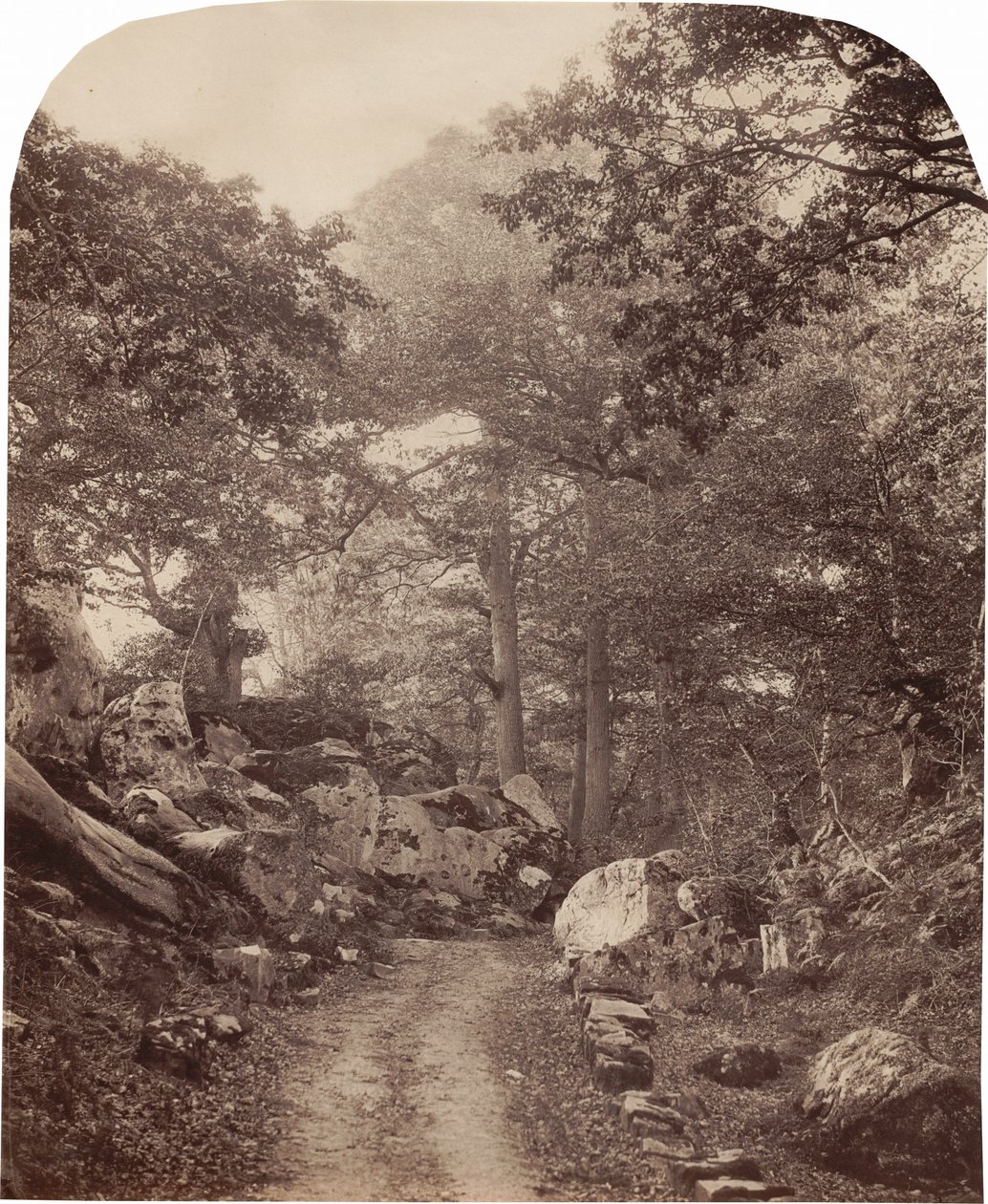 Fontainebleau, ok. 1860 r. (zdjęcie) autorstwa Alphonse Francois Jeanrenaud