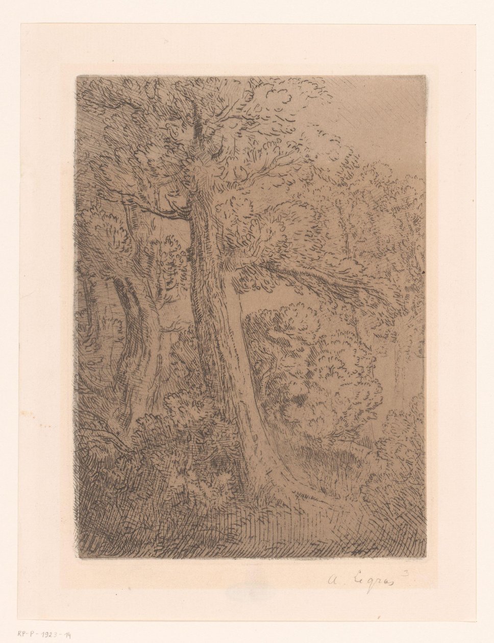 Dwa drzewa autorstwa Alphonse Legros (signed by artist)