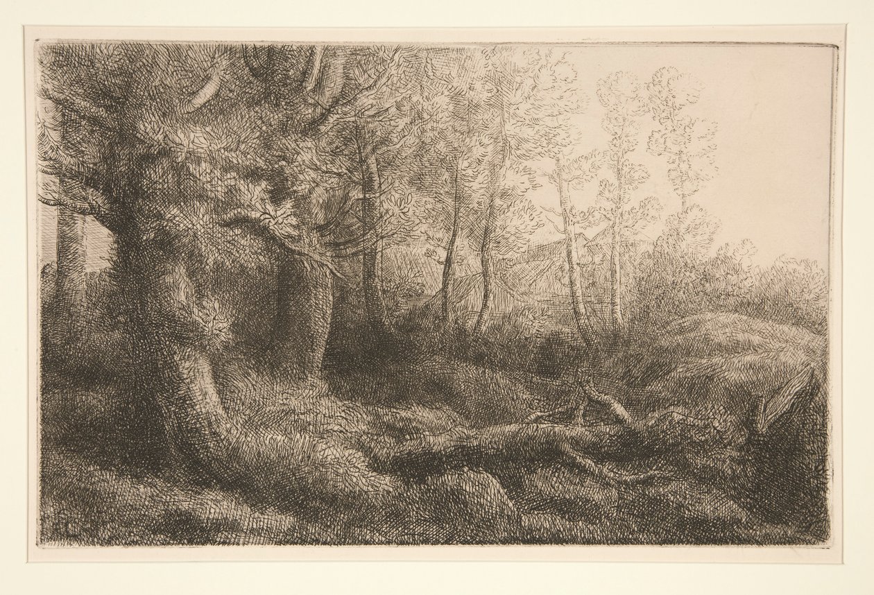 Studium leśne autorstwa Alphonse Legros