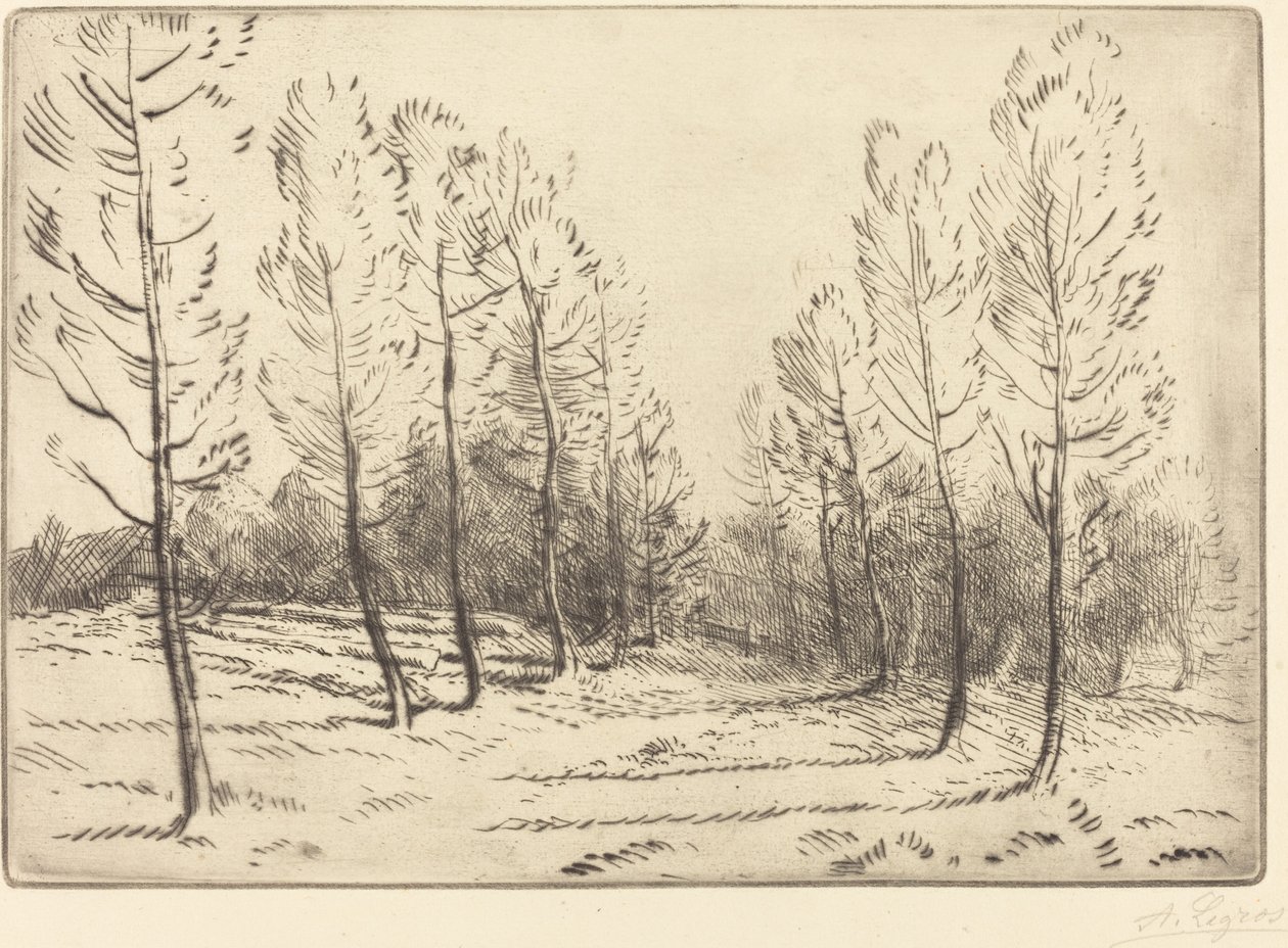 Aleja Topoli autorstwa Alphonse Legros