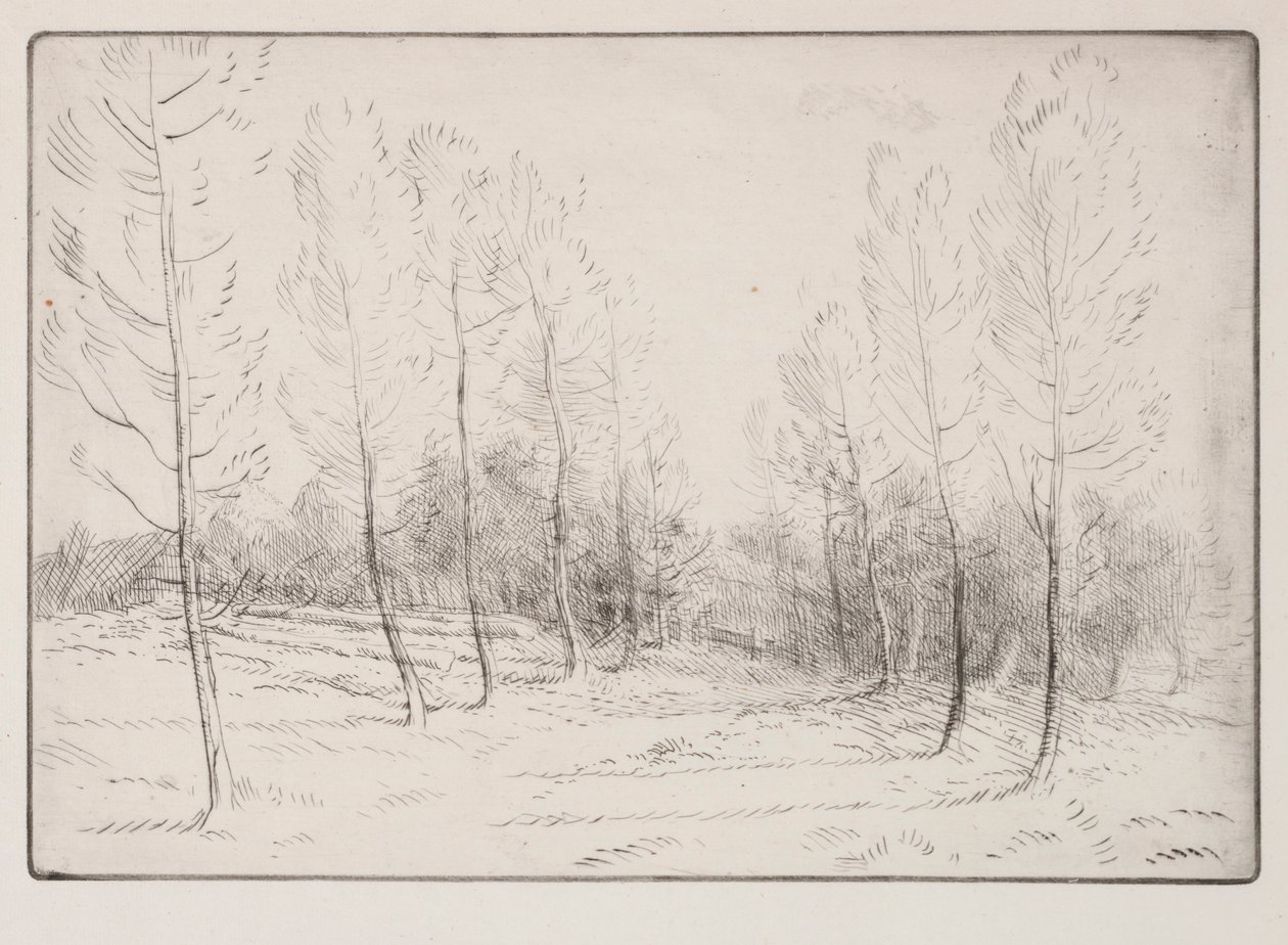 Aleja Topoli. autorstwa Alphonse Legros