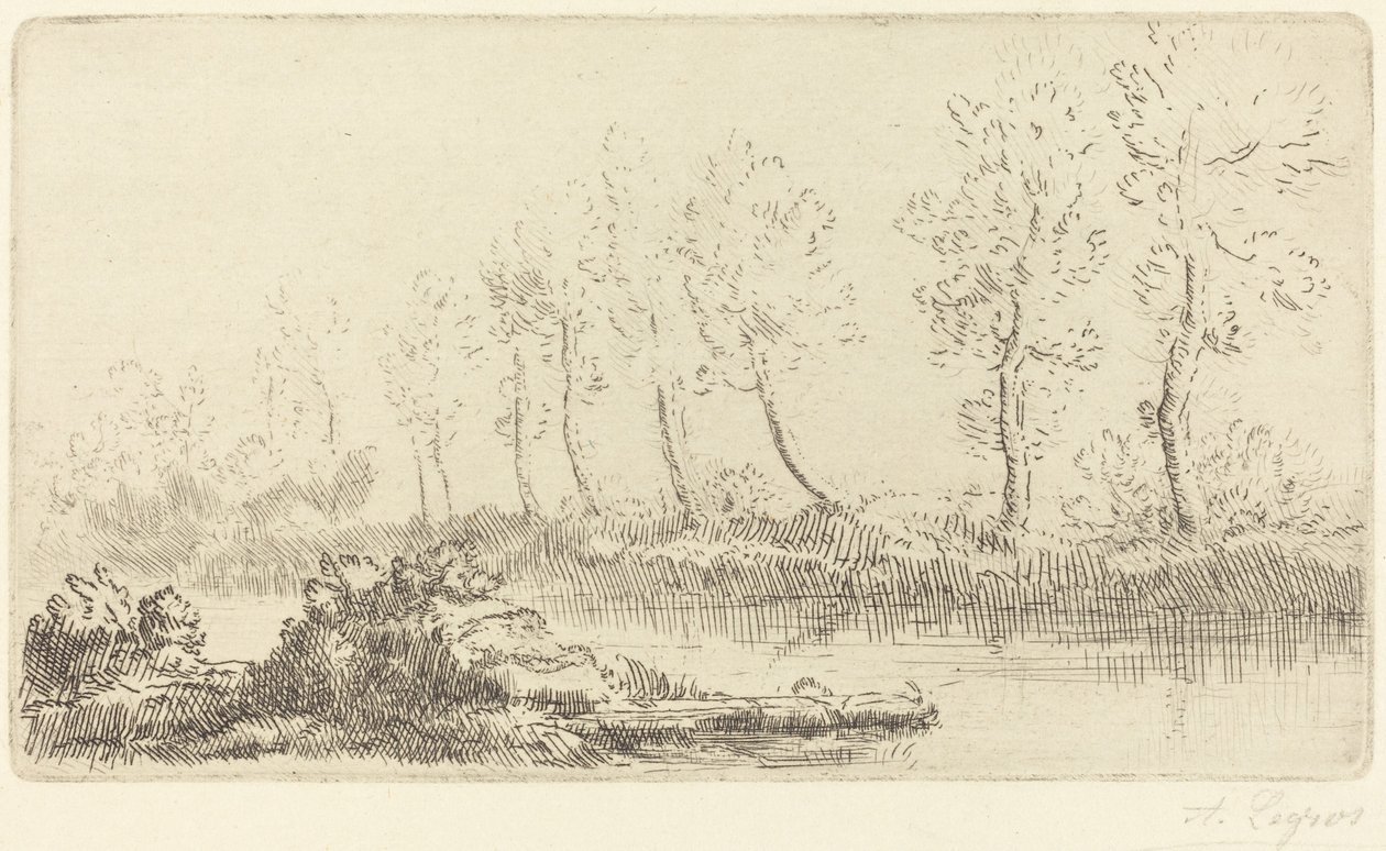 Brzegi Adour (Bord de l