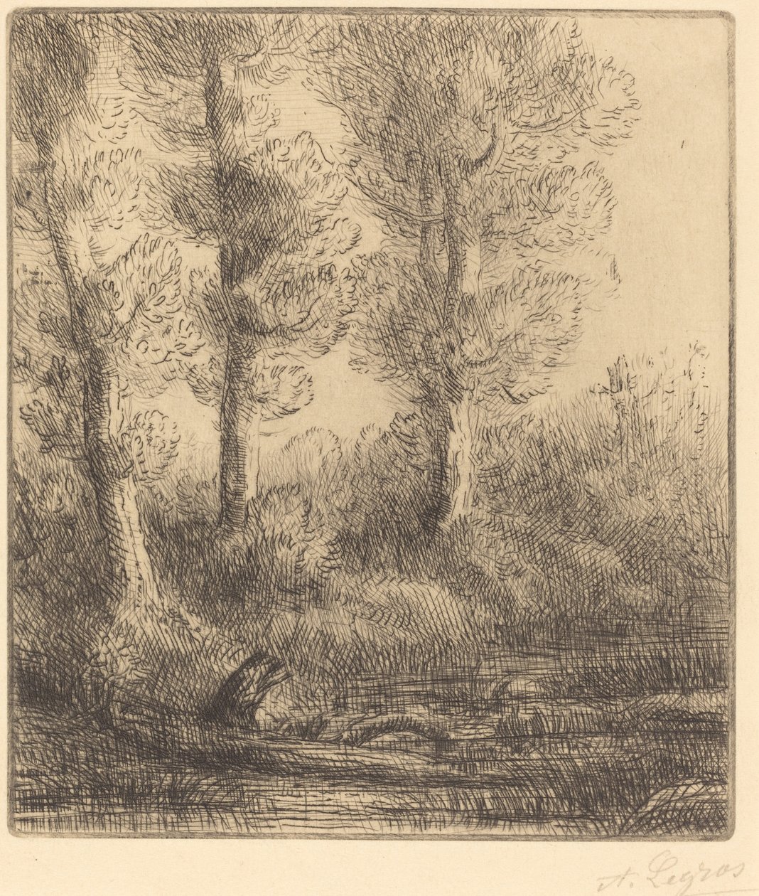 Brzegi Saint-Pre Rive du Saint-Pre. autorstwa Alphonse Legros