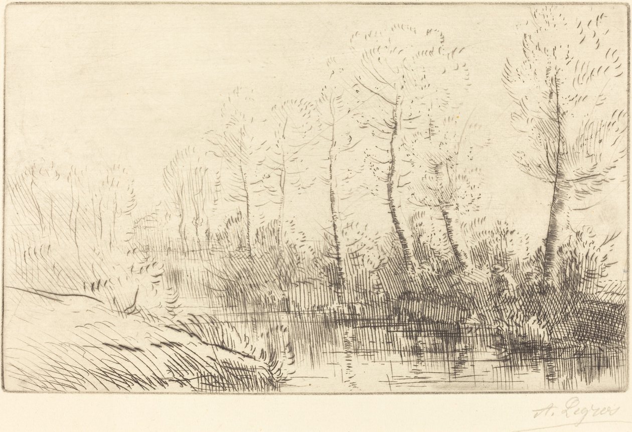 Brzozy: brzeg wody widziany w porannym świetle autorstwa Alphonse Legros
