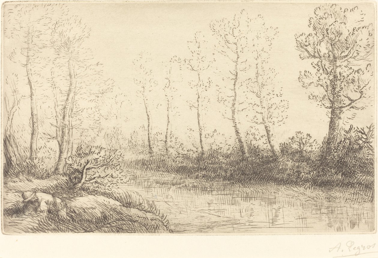 Brzozy: Skraj wody widziany w porannym świetle Brzozy: Skraj wody widziany w porannym świetle. autorstwa Alphonse Legros