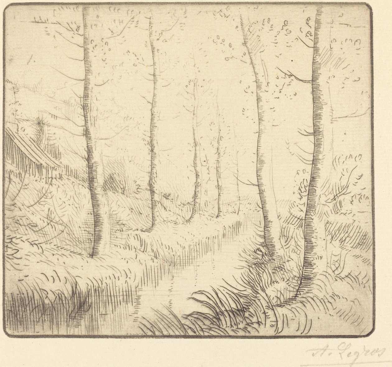 Brzozy wzdłuż wody autorstwa Alphonse Legros
