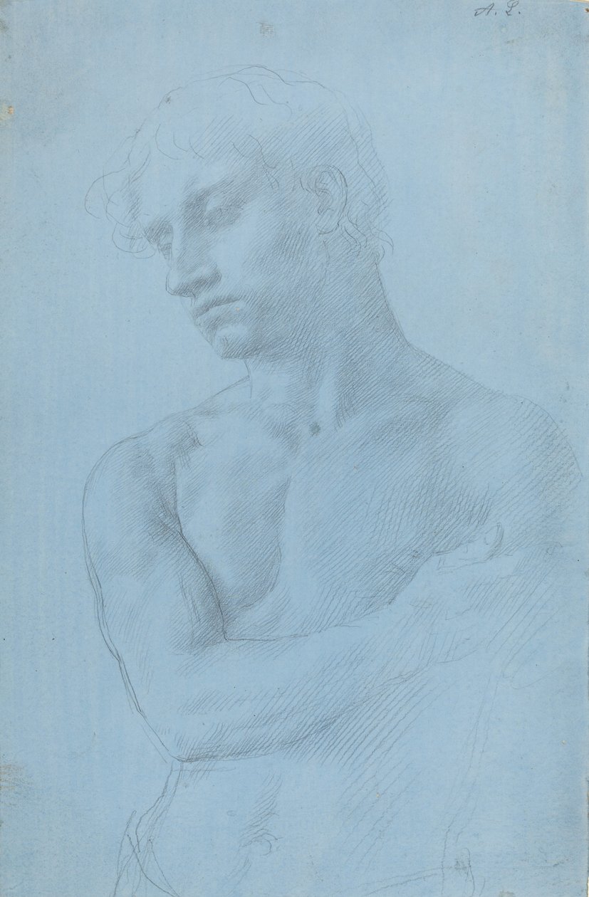 Popiersie nagiego mężczyzny. autorstwa Alphonse Legros
