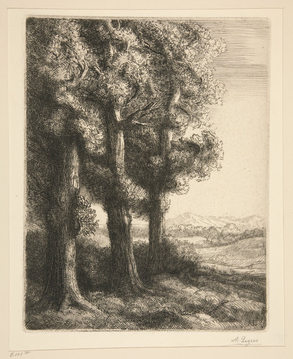 Zakątek lasu autorstwa Alphonse Legros