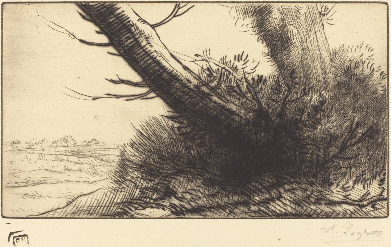 Narożnik ścieżki autorstwa Alphonse Legros