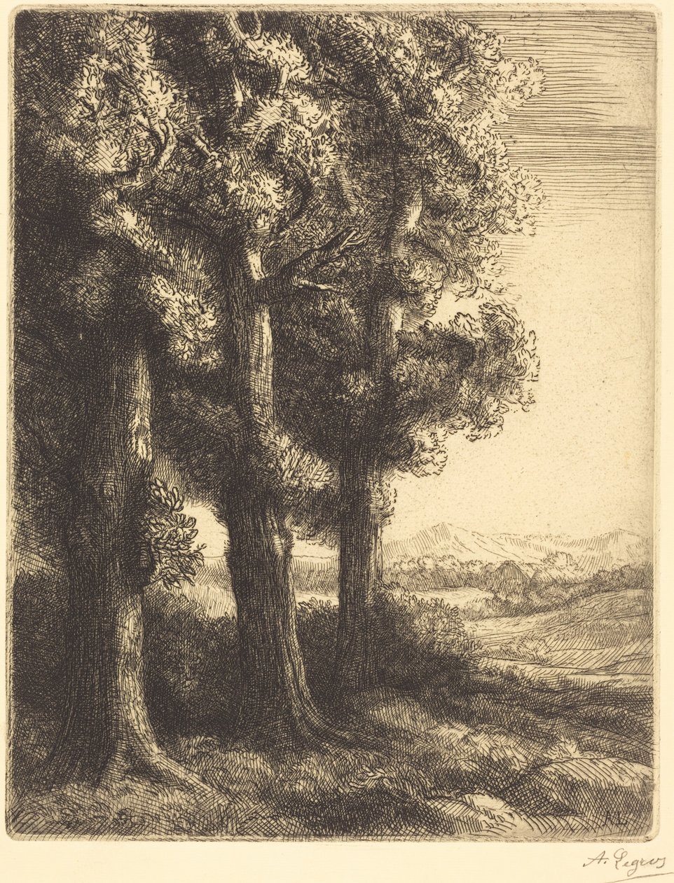 Corner of a Wood (Zakątek lasu) autorstwa Alphonse Legros