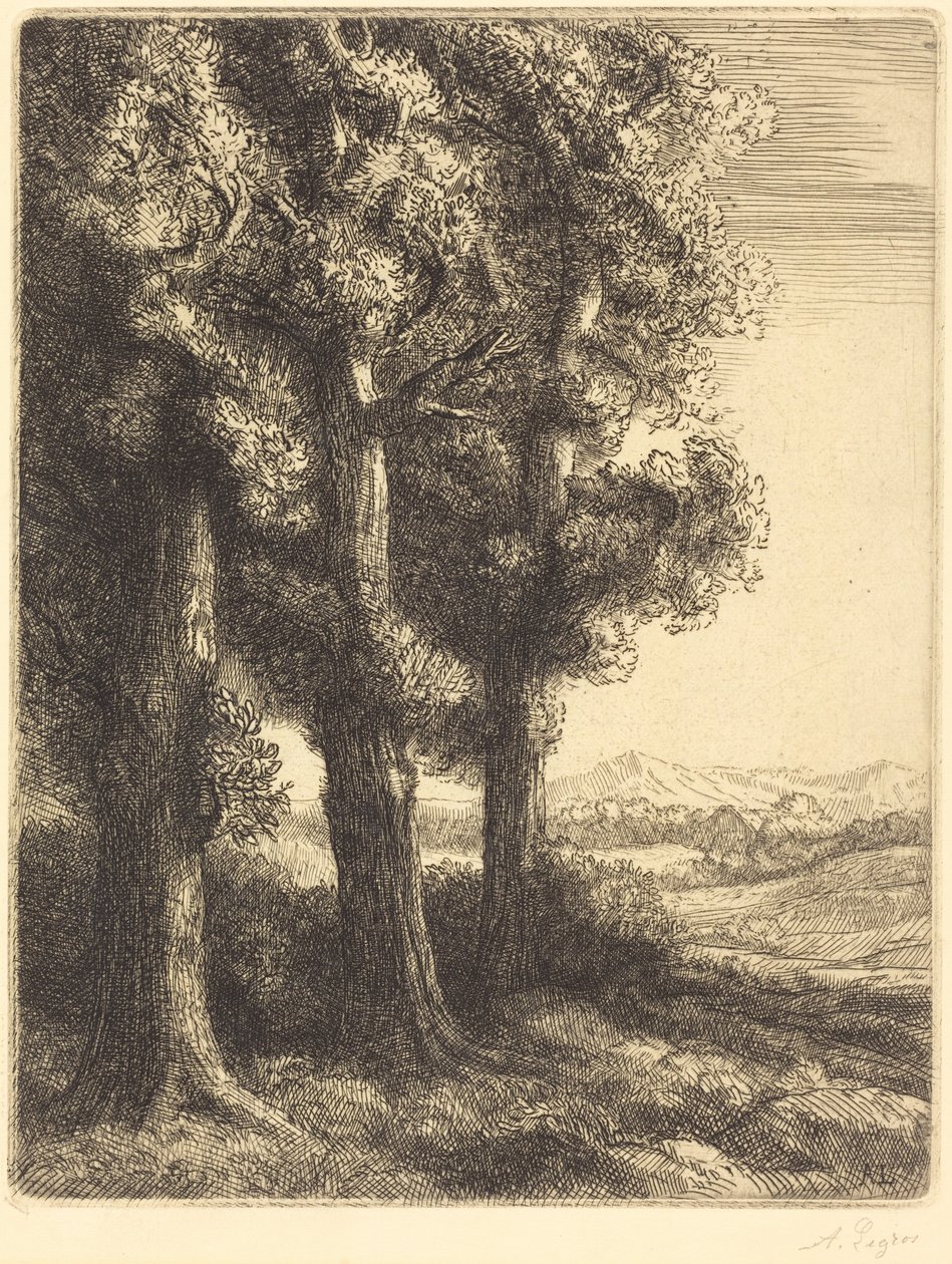 Corner of a Wood (Zakątek lasu) autorstwa Alphonse Legros