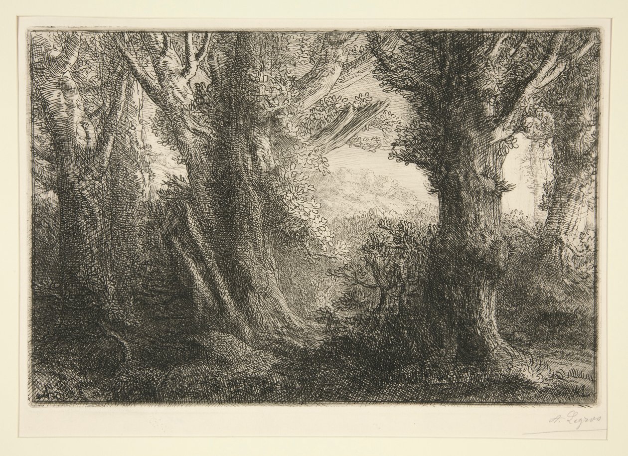 Dans la foret de Conteville (W lesie Conteville) autorstwa Alphonse Legros