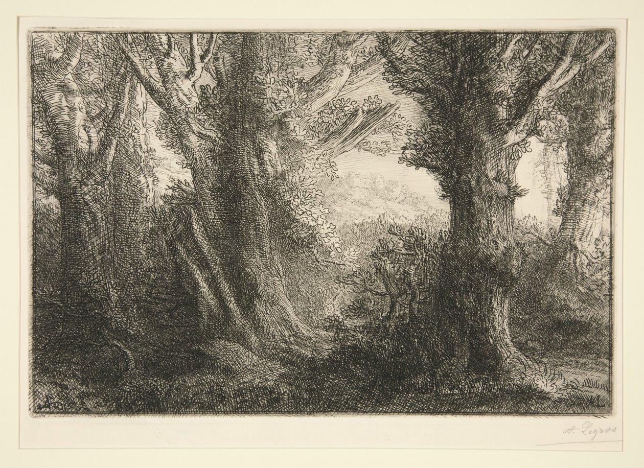 W lesie Conteville autorstwa Alphonse Legros