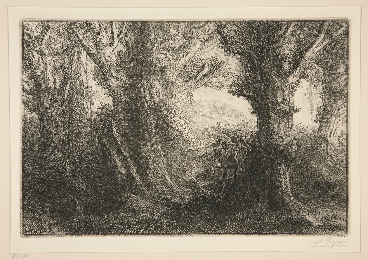 Dans la foret de Conteville (W lesie Conteville0 autorstwa Alphonse Legros