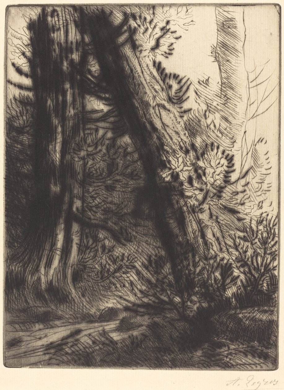 Brzeg potoku (Bord de ruisseau) autorstwa Alphonse Legros