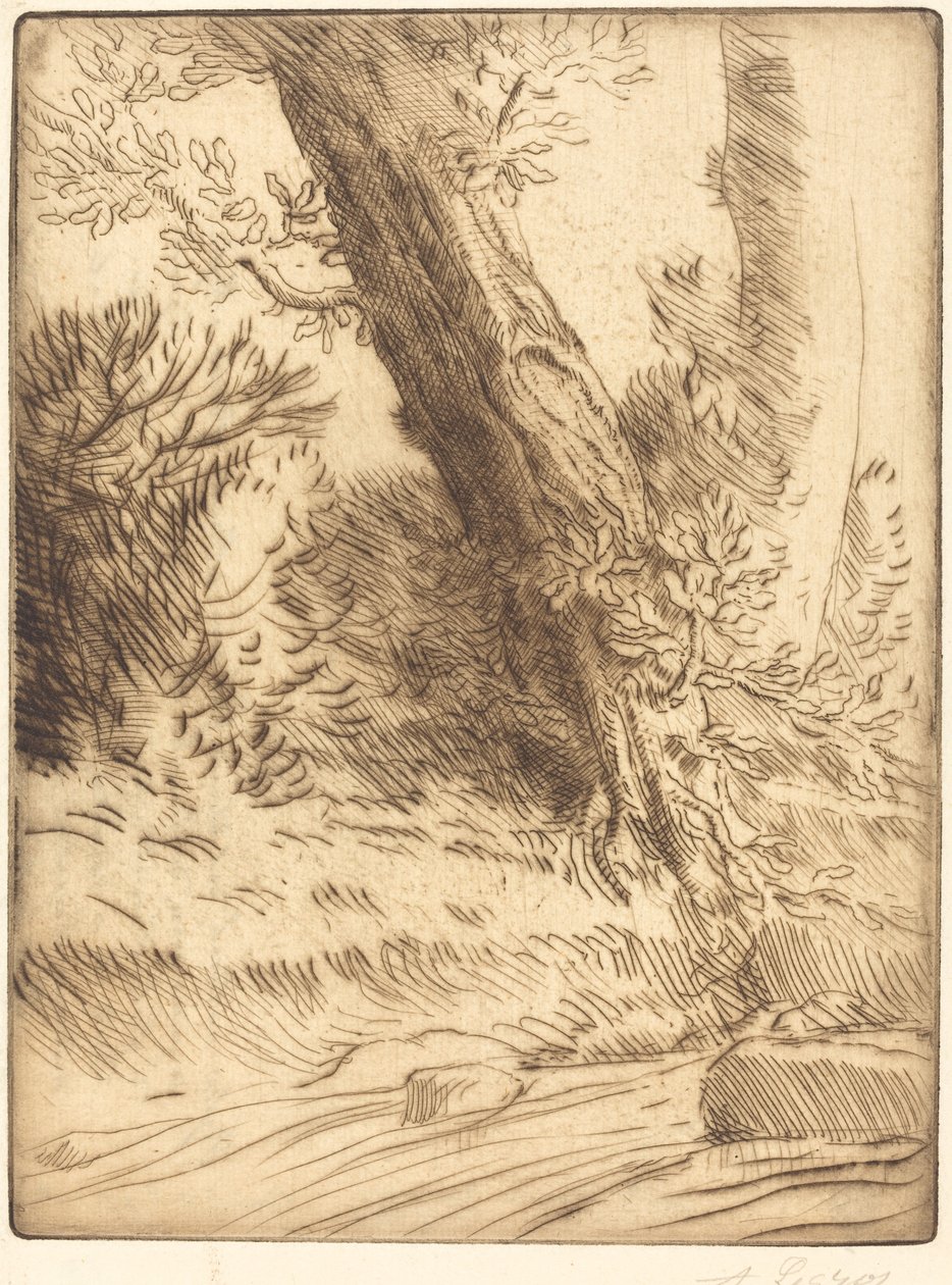 Brzeg potoku (Bord de ruisseau) autorstwa Alphonse Legros