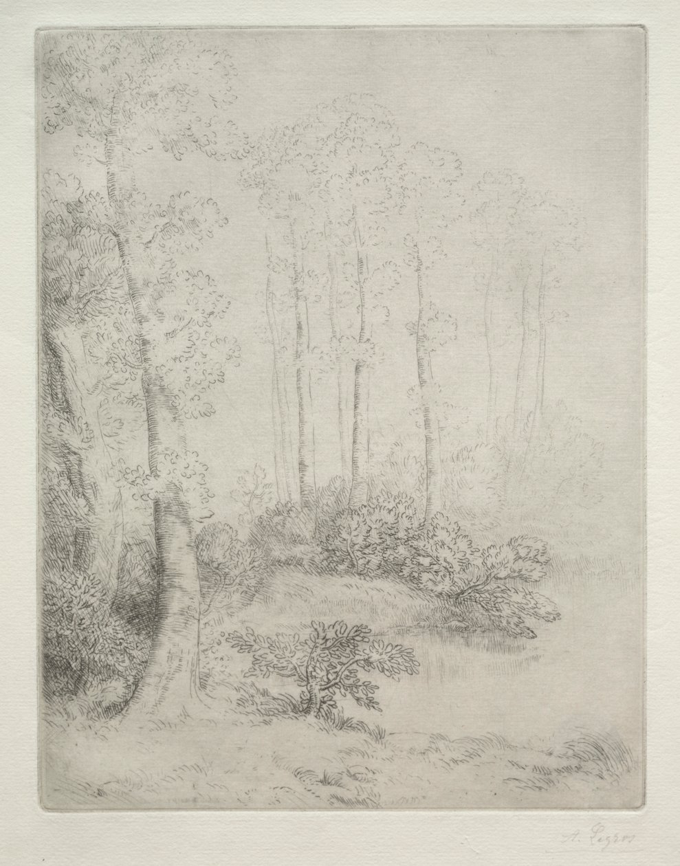 Krawędź wody autorstwa Alphonse Legros